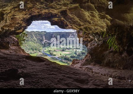 Cueva Ventana - Fenster Höhle in Puerto Rico Stockfoto