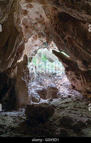 Eingang zur Cueva Ventana - Fenster Höhle in Puerto Rico Stockfoto