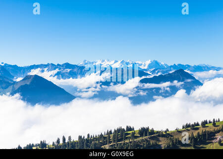 Panoramablick auf die Schweizer Alpen auf Rigi Berg, Schweiz Stockfoto