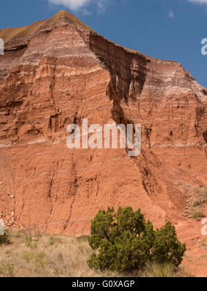 Tecovas und Quartiermeister Schichten (Spanisch Röcke), Lighthouse Trail, Palo Duro Canyon State Park, Canyon, Texas. Stockfoto