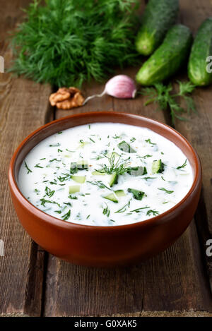 Kalter Sommer Suppe mit Joghurt, Gurke und Walnüsse. Gesunde Ernährung Stockfoto