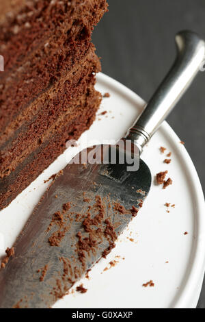 Nahaufnahme von geschichteten Schokolade Torte halbieren mit Tortenheber Stockfoto