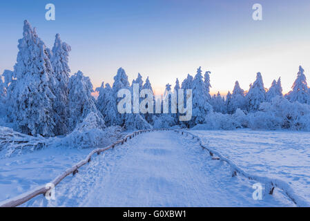 Verschneite Winterlandschaft mit Pfad im Morgengrauen, gröberen Feldberg, Frankfurt, Taunus, Hessen, Deutschland Stockfoto