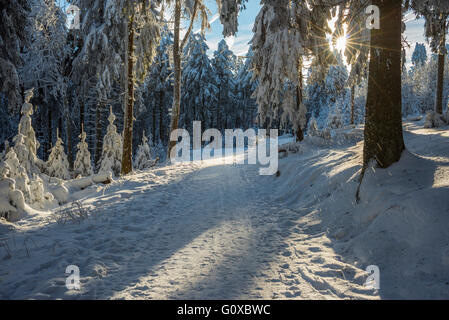 Verschneite Winterwald mit Pfad und Sonne, gröberen Feldberg, Frankfurt, Taunus, Hessen, Deutschland Stockfoto