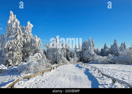 Verschneite Winterlandschaft mit Pfad, gröberen Feldberg, Frankfurt, Taunus, Hessen, Deutschland Stockfoto