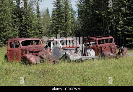 Drei rostige Autos im Wald Stockfoto