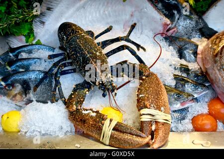 Frische Meeresfrüchte auf dem Markt Stockfoto