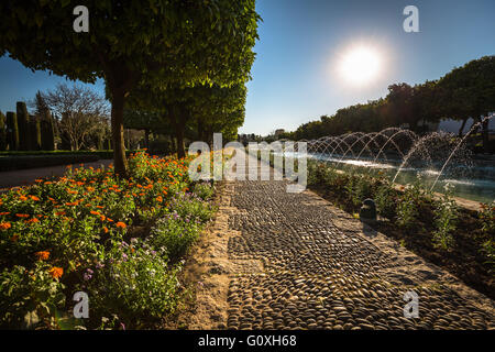 Gärten in den Alcazar de Los Reyes Cristianos in Cordoba, Spanien Stockfoto