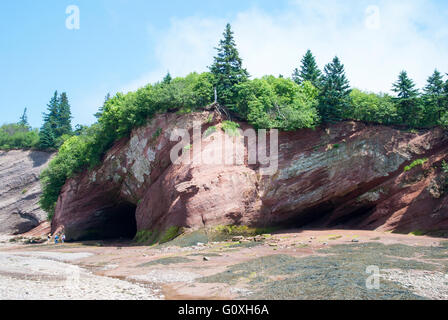 Bay Of Fundy National Park, der einer der größten Gezeiten der Welt (New Brunswick, Kanada). Stockfoto