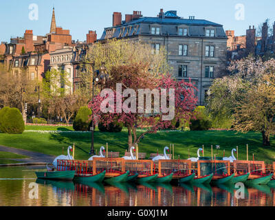 Im Boston Public Garden in Boston, Massachusetts, erblühen im Frühling Bäume mit Schwanenbooten im Vordergrund. Stockfoto