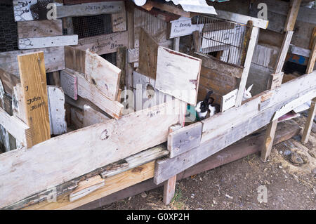 dh Mayreau Insel St. VINCENT Karibik Karibik Kaninchenställe Saint Vincent und die Grenadinen Stockfoto