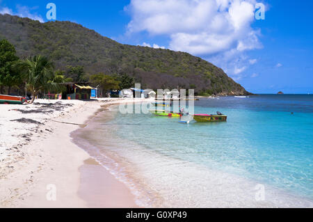 dh Mayreau Island ST VINCENT CARIBBEAN Saltwhistle Bay Saint Vincent und die Grenadinen Salt Whistle Beach nach Wind Stockfoto