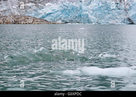 Kleine Eisberge treiben vor Smithbreen Gletscher in Raudfjorden, Svalbard Stockfoto