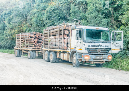 MILLWOOD, Südafrika - 4. März 2016: einer der vielen t durch den Knysna Wald zu den Mühlen Stockfoto