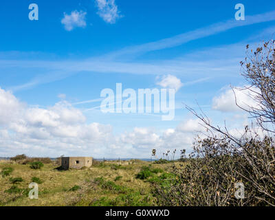 Dem zweiten Weltkrieg konkrete Pillbox militärische Waffe Verteidigung von Küsten-Invasion auf der Südküste von England. Hayling Island. Stockfoto