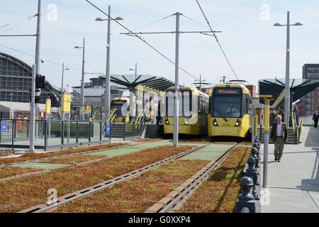 Deansgate - Castlefield Metrolink-Straßenbahn-Haltestelle Manchester. Die Straßenbahnlinien wurden mit Paneelen aus Sedum gepflanzt. Stockfoto