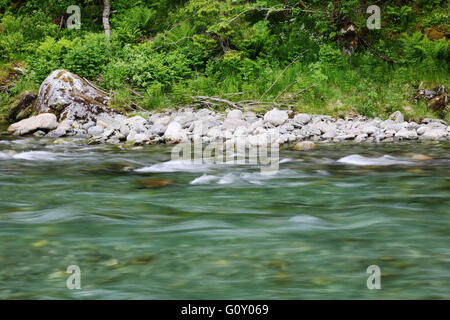 Schöne schnelle reine Gletscherfluss mit Steinen in Norwegen Stockfoto