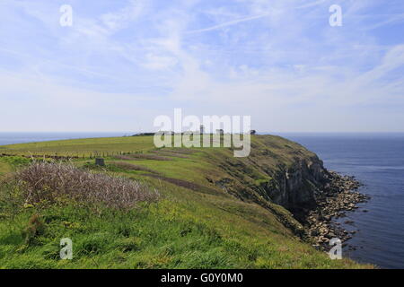 National Coastwatch Lookout Station, Portland Bill, Jurassic Coast, Dorset, England, Großbritannien, Vereinigtes Königreich, UK, Europa Stockfoto