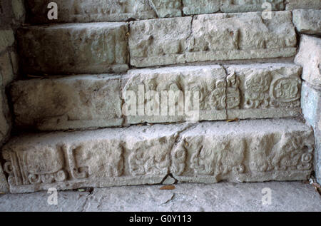 Detail - hieroglyphische Treppe Stein Bas Relief in Copan Ruinen, eine archäologische Stätte der Maya-Zivilisation, Honduras Stockfoto