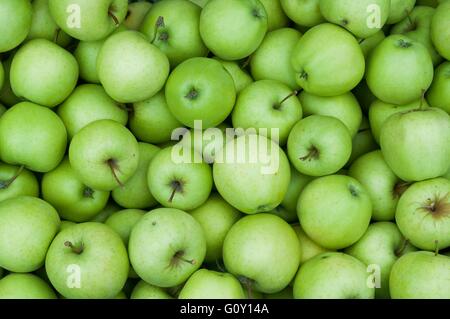 Haufen von frischen grünen Granny Smith Äpfel. Hintergrundbild Stockfoto