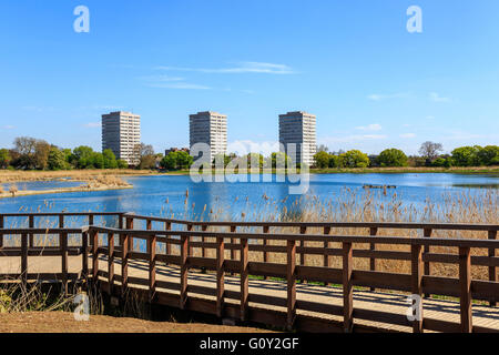 Woodberry Feuchtgebiete Naturschutzgebiet am Woodberry Down in London an einem sonnigen Tag Stockfoto