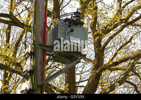 Eine grau lackiert Mast montiert Hochspannungstransformators verdrahtet und gemeinsam mit einer Straße in ländlicher Umgebung. Stockfoto