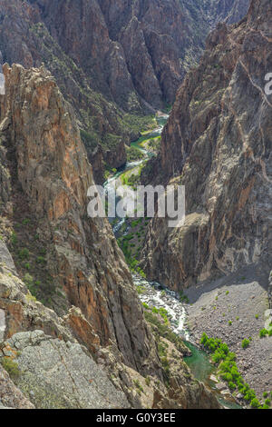 steile Klippen über denen der Gunnison River aus betrachtet gemalt Wandansicht im black Canyon des Gunnison National Park, colorado Stockfoto