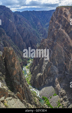 steile Klippen über denen der Gunnison River aus betrachtet gemalt Wandansicht im black Canyon des Gunnison National Park, colorado Stockfoto