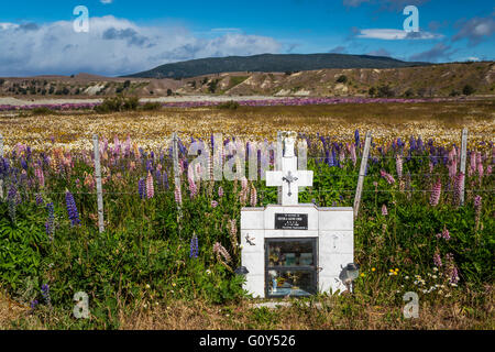 Ein am Straßenrand Schrein mit lupine Wildblumen auf der Straße von Magellan in der Nähe von Punta Arenas, Chile, Südamerika. Stockfoto