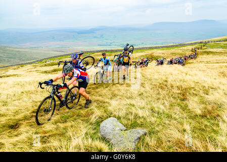 Fahrer, die Ingleborough im 2015 drei Zinnen Cyclocross Rennen, eine jährliche Veranstaltung über drei Yorkshire Berge aufsteigend Stockfoto