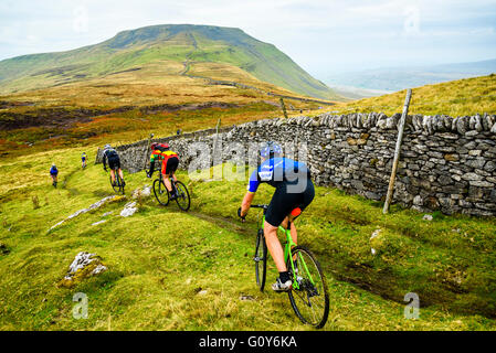 Fahrer, die Ingleborough im 2015 drei Zinnen Cyclocross Rennen, eine jährliche Veranstaltung über drei Yorkshire Berge aufsteigend Stockfoto