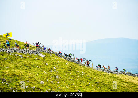 Fahrer, die Ingleborough im 2015 drei Zinnen Cyclocross Rennen, eine jährliche Veranstaltung über drei Yorkshire Berge aufsteigend Stockfoto