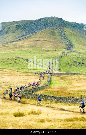 Fahrer, die Ingleborough im 2015 drei Zinnen Cyclocross Rennen, eine jährliche Veranstaltung über drei Yorkshire Berge aufsteigend Stockfoto