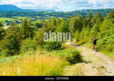 Mountainbiker entstammt Claife Heights im Lake District mit Wetherlam Bowfell und Langdale Pikes auf die skyline Stockfoto