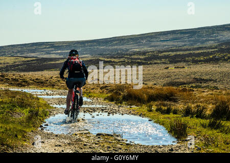 Mountainbiker auf dem richtigen Weg in der Bowland Fells Lancashire verschieden bekannt als Salter Weg fiel Salter Road oder Hornby Road Stockfoto