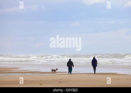 Saint Bienen. Paar, Hund am Strand spazieren gehen. Cumbria, England, Vereinigtes Königreich, Europa. Stockfoto