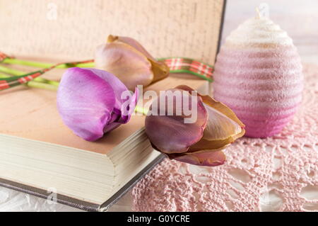 Frische violette Tulpen und ein Buch Stockfoto