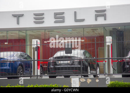 Tesla Autos Autohaus in St. Leonards, Sydney, Australien Stockfoto