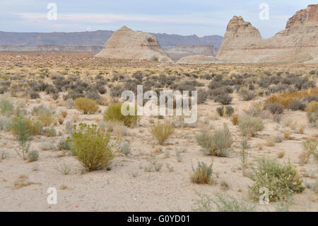 Dieses Bild wird von einer einsamen Wüste Landschaft mit großen Felsformation. Stockfoto