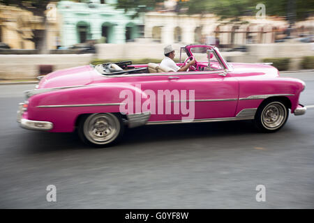 3. Mai 2016 - Havanna, Kuba - Fahrer beschleunigen entfernt im klassischen Cabrio nach dem Fallenlassen der Gäste entlang der Promenade Paseo del Prado wo Chanels '' Cruise Collection'' 2016/2017 Start-und Landebahn zeigen fand in Havanna, Kuba. Chanel stellte mehr als 150 '' Almendrones'' (die alte US-Cars) konvertiert als Sinnbild der sozialistischen Insel Gäste rund um die Stadt zu transportieren. Die Oldtimer von Kuba erschien als Druck auf mehrere Stücke. Französische Modehaus Chanel inszenierte seine Show in der kubanischen Hauptstadt Havanna - die erste internationale Modenschau seit der kommunistischen Revolution von 1959, welche Brücken Stockfoto