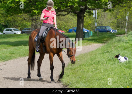 Wimbledon London, UK. 6. Mai. Eine Frau fährt ein Vollblut an einem warmen sonnigen Tag auf Wimbledon Common Credit: Amer Ghazzal/Alamy Live-Nachrichten Stockfoto