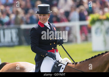 Badminton, South Gloucestershire, England, 6. Mai 2016, Zara Tindall und in der Dressur-Phase an der Mitsubishi Motors Badminton Horse Trials 2016 ihr Pferd High Königreich teilzunehmen. Dressur ist eine erweiterte Form des Reitens, dass Tests, die Pferd und Reiter, wie sie schwierige Manöver basiert auf natürlichen Bewegungen des Pferdes durchzuführen. Bildnachweis: Trevor Holt / Alamy Live News Stockfoto