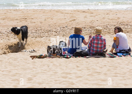 Bournemouth, Dorset, UK 6. Mai 2016. Drei Frauen und zwei Hunde Entspannung am Strand und genießen Sie die Sonne in Bournemouth können Credit: Carolyn Jenkins/Alamy Live News Stockfoto