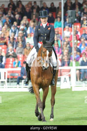 Badminton, UK. 6. Mai 2016. Mitsubishi Motors Badminton Horse Trials. CCI4. Kristina Cook [GBR] Reiten Star Witness Credit: Julie Priestley/Alamy Live News Stockfoto