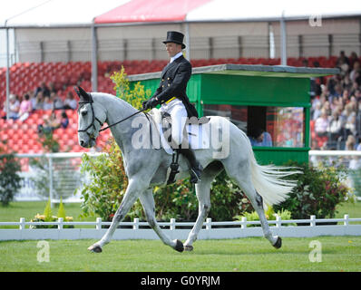 Badminton, UK. 6. Mai 2016. Mitsubishi Motors Badminton Horse Trials. CCI4. Harry Dzenis [GBR] Reiten Xam Credit: Julie Priestley/Alamy Live News Stockfoto