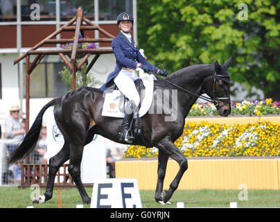 Badminton, UK. 6. Mai 2016. Mitsubishi Motors Badminton Horse Trials. CCI4 Emily King [GBR] Reiten Brookleigh Credit: Julie Priestley/Alamy Live News Stockfoto