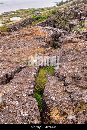 Süd-West Island, Island. 4. August 2015. Thingvellir ist als Nationalpark für seine einzigartige Geologie, Geschichte und beeindruckende Naturdenkmäler geschützt. Seine massive tektonische Risse und Fehler markieren das Wappen des Mittelatlantischen Rückens und kontinentale Platte Drift. Es ist wo das Althing, das älteste bestehende Parlament der Welt zuerst montiert 930 n. Chr. und gehört zu den meistbesuchten Sehenswürdigkeiten in Island, wo Tourismus ein wachsender Sektor der Wirtschaft geworden. © Arnold Drapkin/ZUMA Draht/Alamy Live-Nachrichten Stockfoto