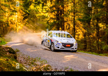 Karlskrona, Schweden. 6. Mai 2016. 41. Süd Schweden-Rallye ist auf in den wilden Wald Straßen außerhalb Karlskrona. Hier ist Erik Telehagen mit Copiloten Bjorn Jonasson aus Waxjo MS auf spezielle Straße Abschnitt 2 in ihren Peugeot 208 R2. Sie sind heutige Gewinner in der JSM Klasse nach insgesamt 4 Abschnitte unbeschnitten. Bildnachweis: Ingemar Magnusson/Alamy Live-Nachrichten Stockfoto