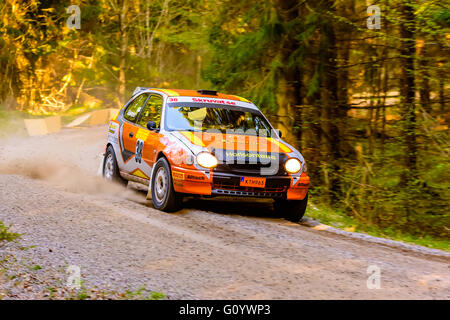 Karlskrona, Schweden. 6. Mai 2016. 41. Süd Schweden-Rallye ist auf in den wilden Wald Straßen außerhalb Karlskrona. Hier ist Tobias Soderqvist mit Copiloten Joakim Soderqvist von AMF Arsunda auf spezielle Straße Abschnitt 2 in ihrem Toyota Corolla. Sie sind heutige Gewinner in der getrimmte 2WD Klasse nach insgesamt 4 Abschnitte. Bildnachweis: Ingemar Magnusson/Alamy Live-Nachrichten Stockfoto