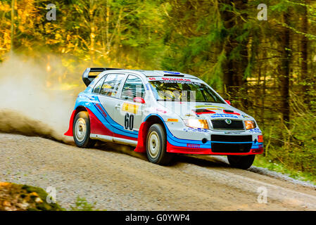 Karlskrona, Schweden. 6. Mai 2016. 41. Süd Schweden-Rallye ist auf in den wilden Wald Straßen außerhalb Karlskrona. Hier ist Pg Andersson mit Mitfahrer Anders Fredriksson aus Arjangs MK auf spezielle Straße Abschnitt 2 in ihrem Skoda Fabia. Sie sind heutige Gewinner in der getrimmte 4WD Klasse nach insgesamt 4 Abschnitte. Sie sind auch die allgemeine Staats-und Regierungschefs der Süd-Schweden-Rallye in Karlskrona mit mehr als 12 Sekunden zu ersparen. Bildnachweis: Ingemar Magnusson/Alamy Live-Nachrichten Stockfoto